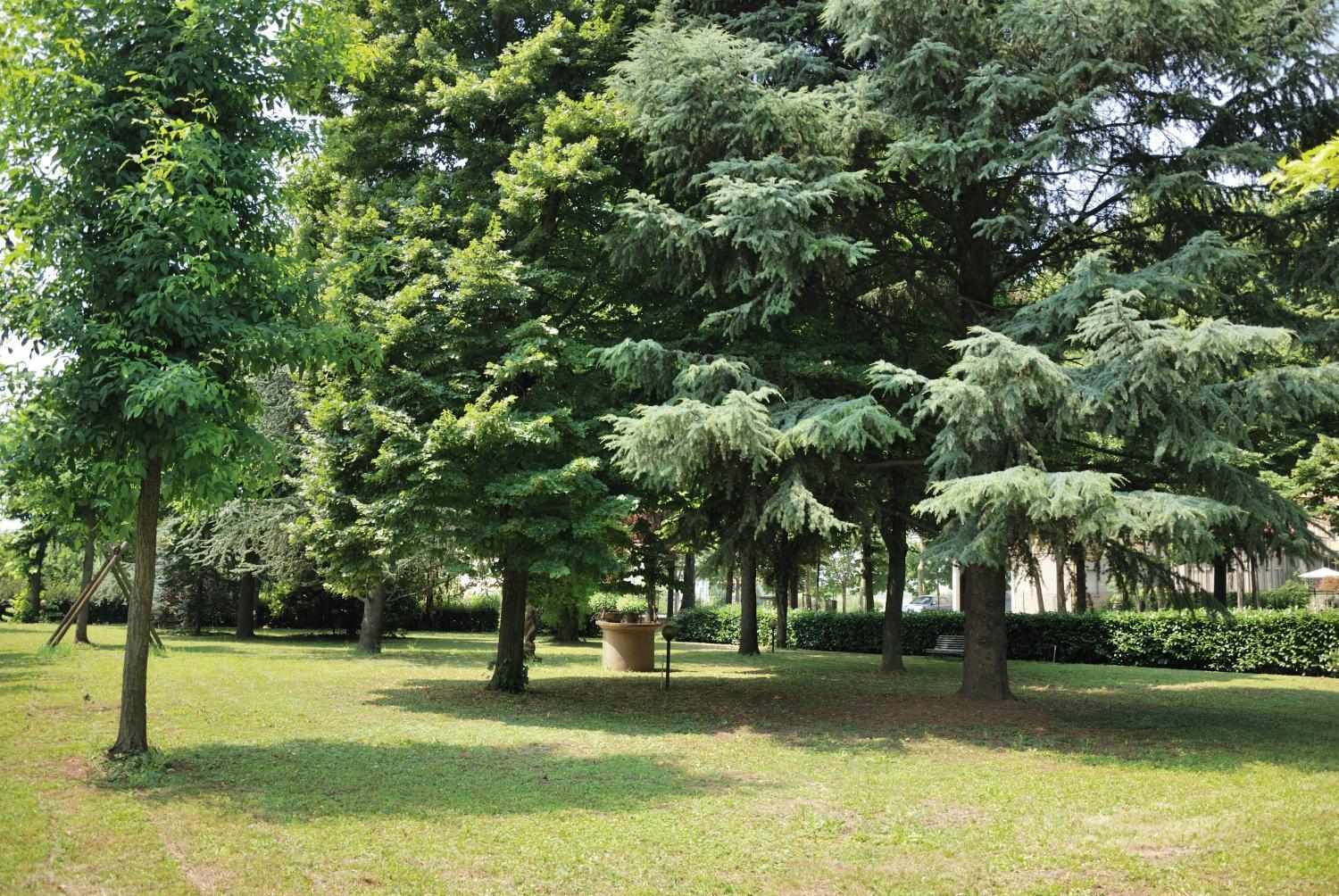 Hotel Olimpic Castel Maggiore Dış mekan fotoğraf